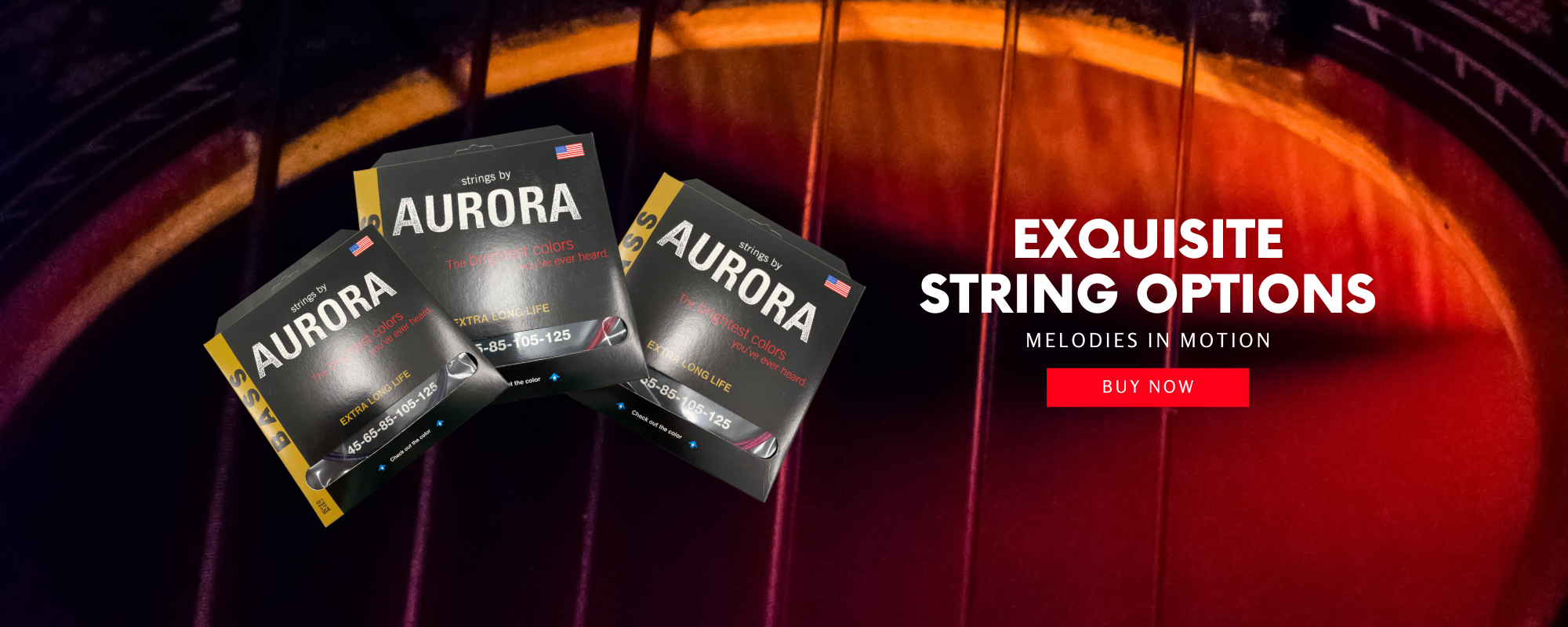 files/Strings_by_Aurora_1000_x_500_px_1000_x_400_px_4.png files/Strings_by_Aurora_1000_x_500_px_1000_x_400_px_4.png